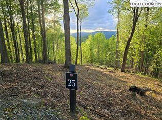 25 Deer Trl, Elk Park, NC 28622