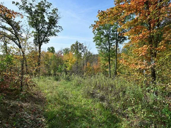 17.28 Acres Block Drive, Minong, WI 54859