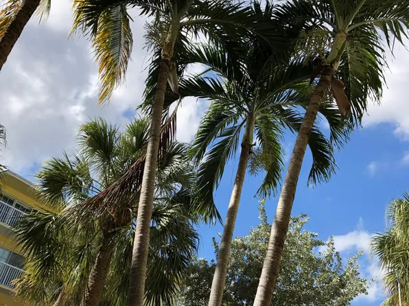 1515 E Broward Blvd, Fort Lauderdale, FL