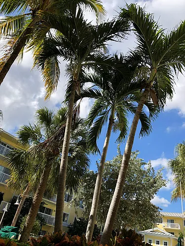 1515 E Broward Blvd #119 Photo 1