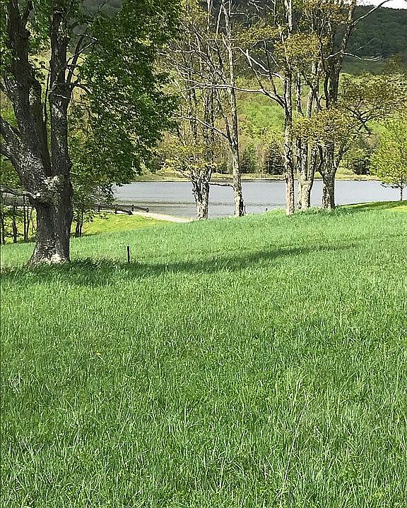 Lake view from lot.