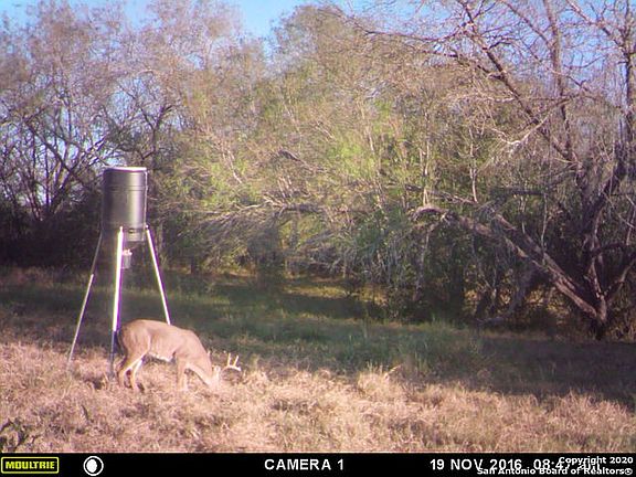 5th image of 9285 County Road 401