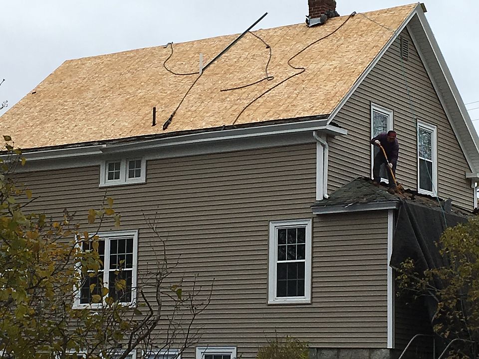 new roof & plywood- 11/15/16