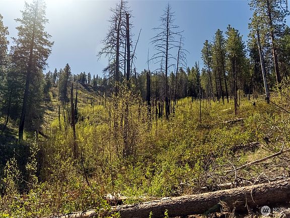 4th image of 19 Stagecoach Road