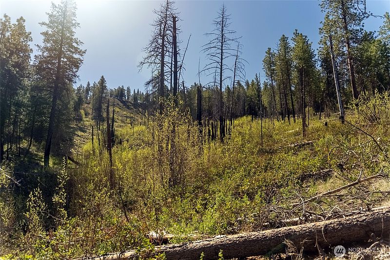 4th image of 19 Stagecoach Road