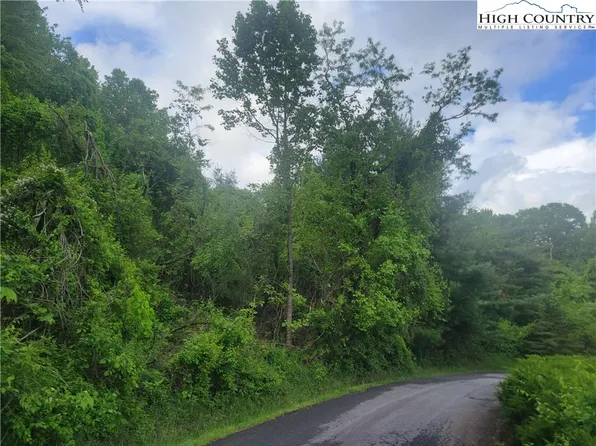 TBD Holly Hill Drive, Sparta, NC 28675