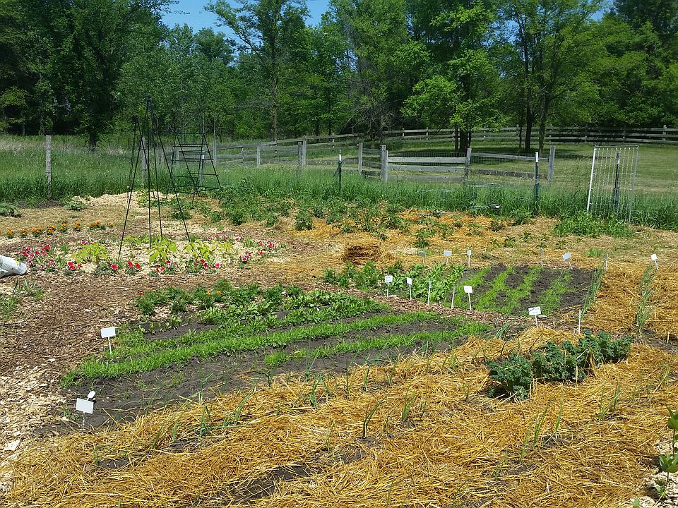 50ft× 50ft deer proof  garden