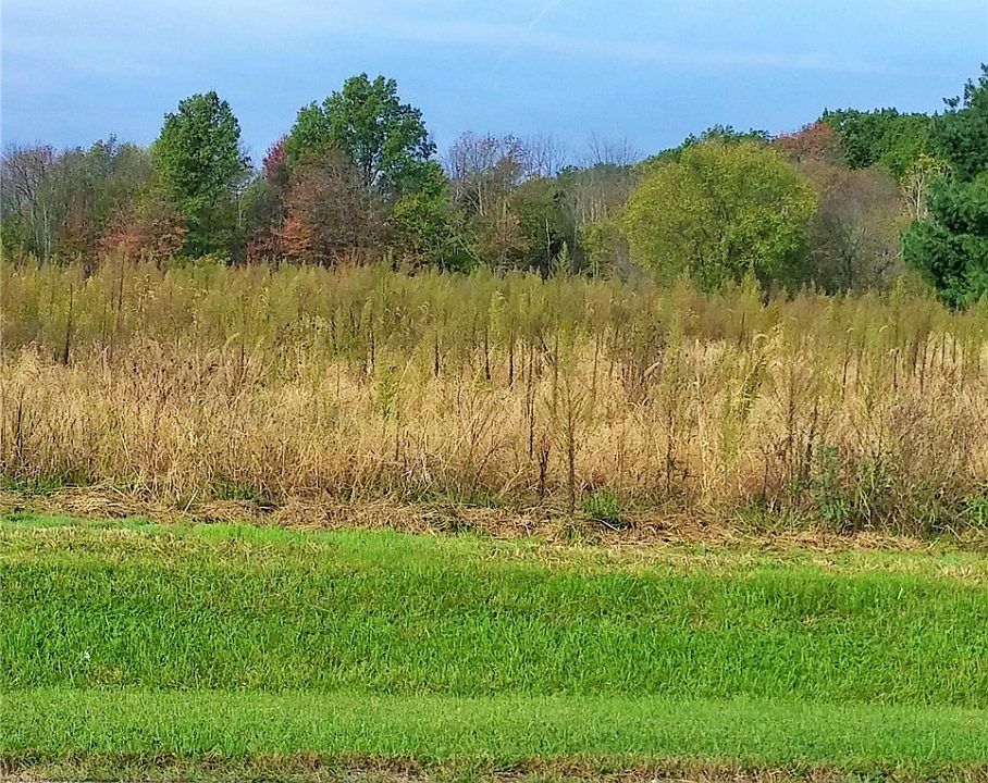 1st image of Moulin Ave NE