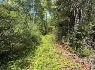 0 E County Road L, Lake Nebagamon, WI 54849