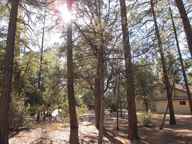 1st image of 814 N Ponderosa Cir