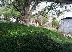 3rd image of 225 McFarland Dr
