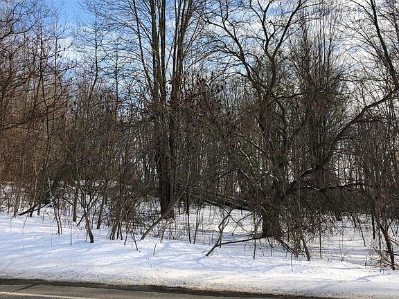 4th image of 216 124th Ave