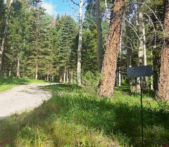 561 Crest Drive, Cimarron, CO, 81220