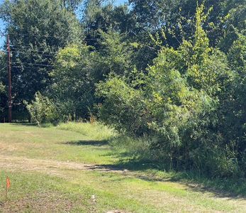 312 Spring Valley St, Mabank, TX, 75156