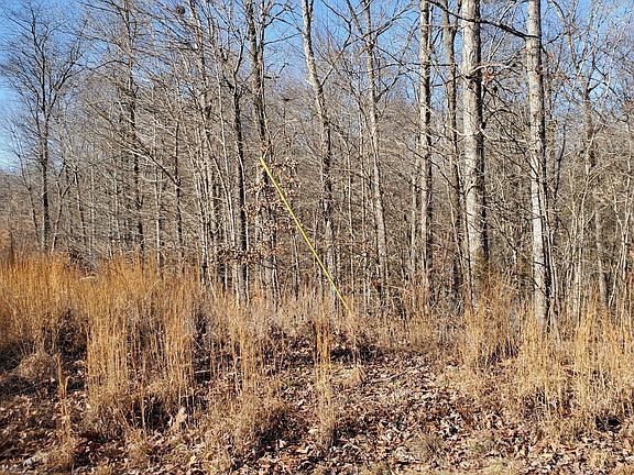 4th image of 18 Autumn Trl Lot 18