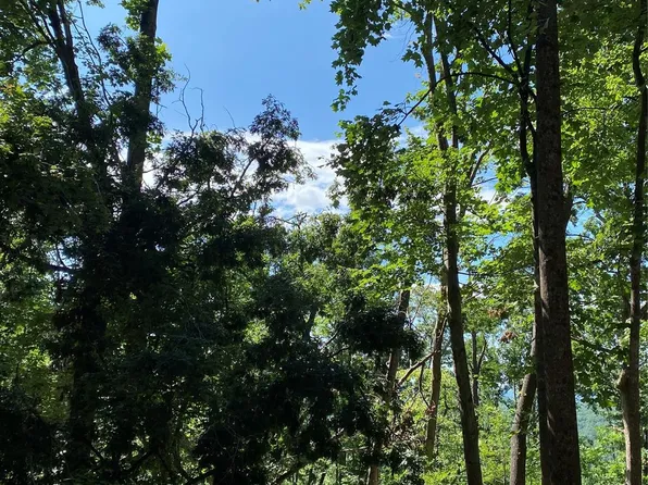 0 Winesap Blvd #81, Lake Lure, NC 28746