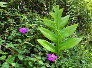 Kailua Rd LOT 398, Pahoa, HI 96778