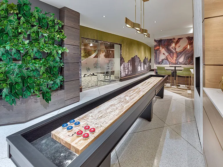 Shuffleboard