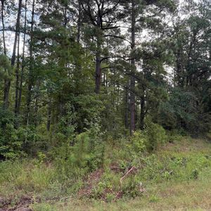 TRACT County Road 8 #A, Sheridan, AR, 72150