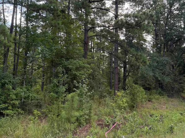 LOT 1 County Road 8, Sheridan, AR 72150