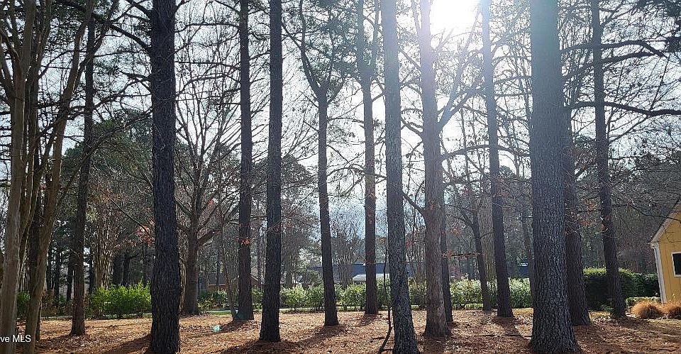 2nd image of T-13 Trent Circle LOT T013