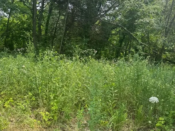 N Hickory St, Dexter, MO 63841