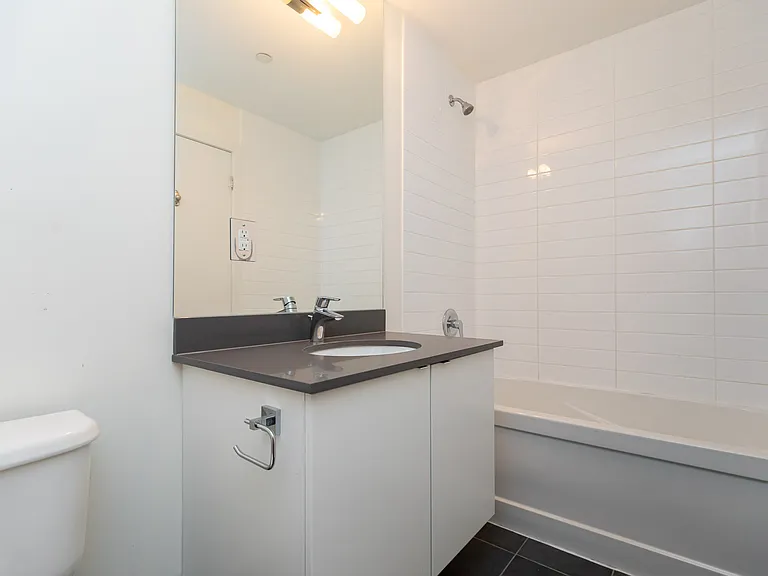 150 E Liberty St #1417 — Photo 18