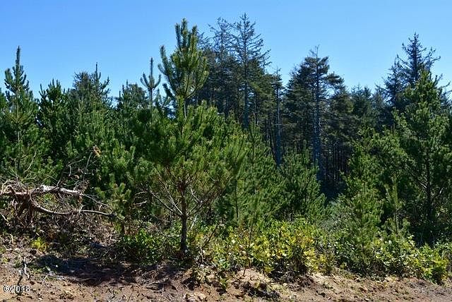 2nd image of LOT 10 NW Thompson St