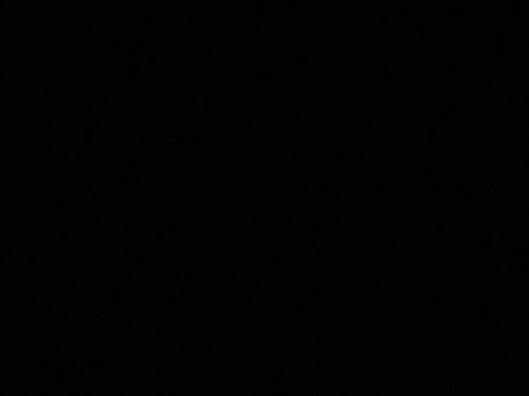 (undisclosed Address)