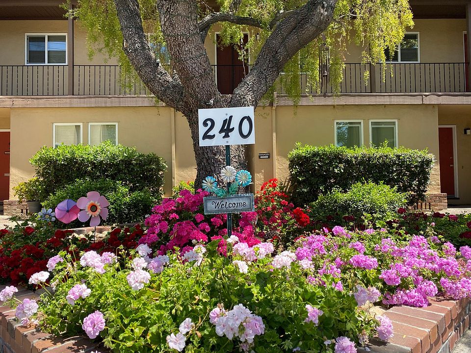 1st image of 240 Di Salvo Ave APT 16