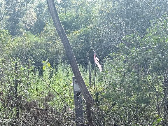 5th image of 2297 Reedy Creek Rd