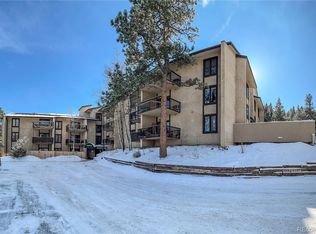 31270 John Wallace Rd APT 303, Evergreen, CO 80439