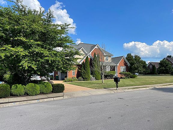 Privacy provided by trees