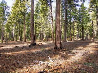LOT 3 Ritts Mill Rd, Shingletown, CA 96088