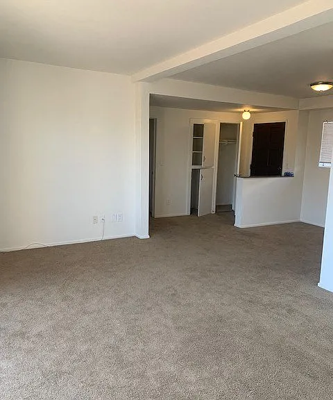 Seaview Apartments — Photo 14