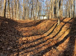 395 Buckhorn Dr, Belvidere, NJ 07823