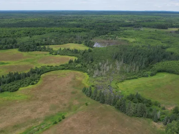 Mertig Ln, Glidden, WI 54527