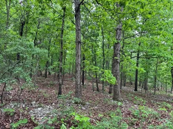 1329 Echowood Cir, Viola, AR 72583