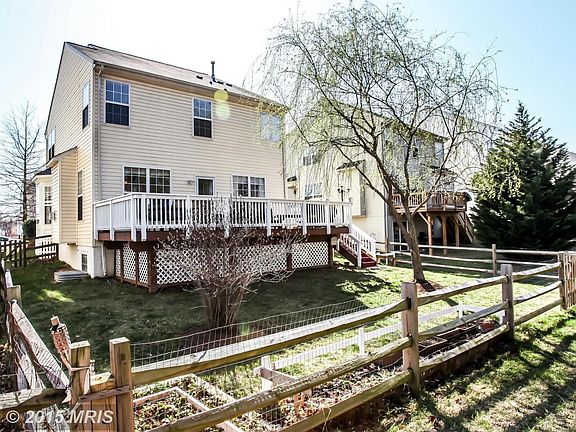 Fenced back yard