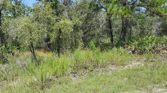 2nd image of 10337 Maybird Ave