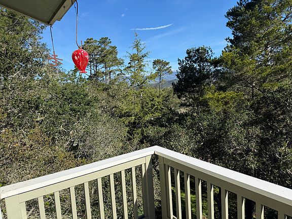 View from deck