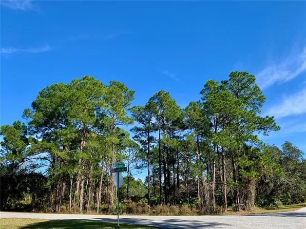 LOT 2 Greenbrier St Lot 2, Eustis, FL 32736