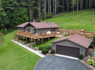 1314 Halsey Valley Rd, Barton, NY 13734