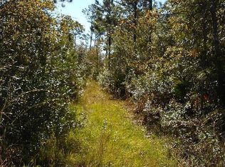 2301 Maluke Rd, Middleburg, FL 32068
