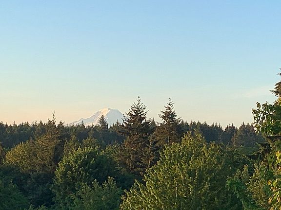 Gorgeous view of Mt. Rainier