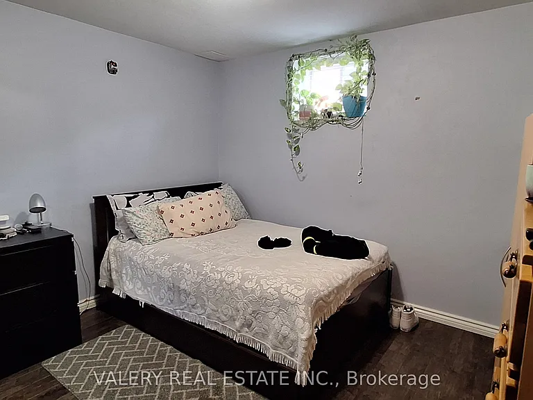 59 Casabel Dr #LOWER — Photo 7