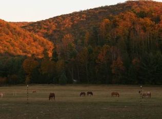 217A Hc 82, Marlinton, WV 24954