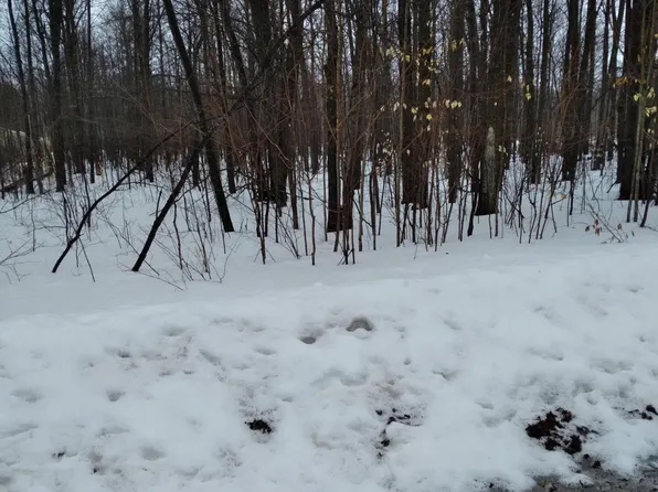 361 & 362 Wyndwood Dr, Mancelona, MI 49659