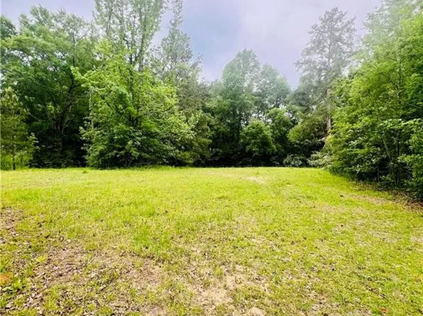 45303 Joe Thompson Rd, Franklinton, LA 70438