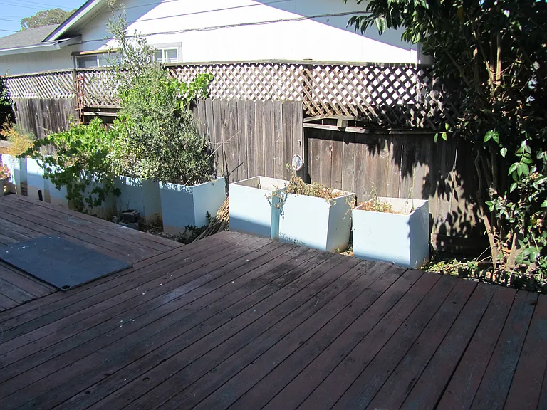 Backyard has been improved - new pics to come.